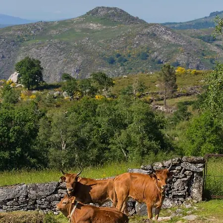 Casa Da Teresina Farmház Sistelo