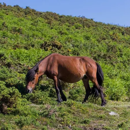 Casa Da Teresina Фермерский дом *