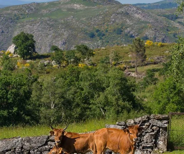 Casa Da Teresina 农家乐 希斯泰洛
