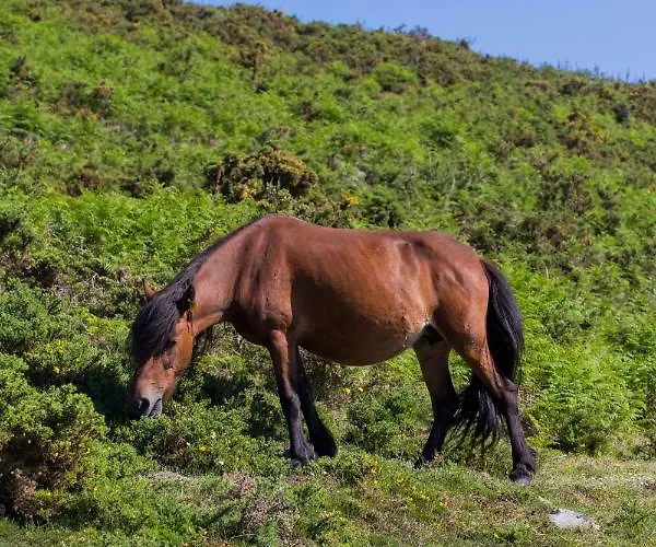 Casa Da Teresina 农家乐 *